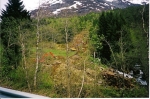 kviven_03_-_orgatetrasee_-_2005.jpg